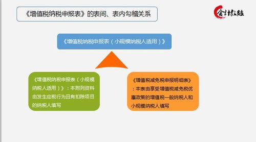 個人所得稅申報注意事項,國際收支申報注意事項,稅務(wù)申報注意事項