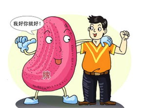 脾膽囊切除后注意事項(xiàng),脾切除后生活注意事項(xiàng),胰腺和脾切除后注意事項(xiàng)