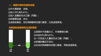 葛根素分離提取的注意事項(xiàng)