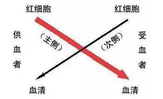 交叉,注意事項(xiàng),實(shí)驗(yàn),聚凝胺