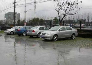 大風(fēng),注意事項(xiàng),停車(chē),天氣