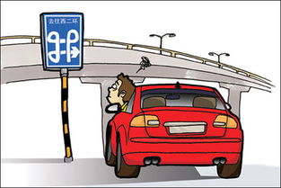 駕車(chē)出游注意事項