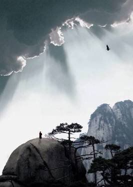葉子的離開，并不是風(fēng)的追求，更不是樹的不挽