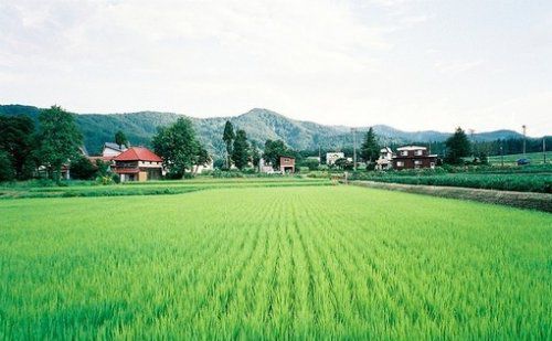 很簡(jiǎn)單的一個(gè)故事，看完你會(huì)懂愛(ài)的真諦！