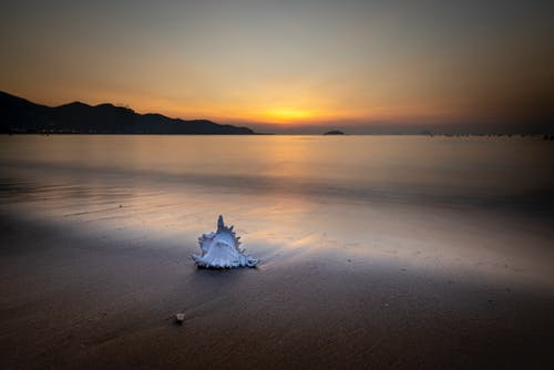 有關(guān)教師節的現代詩(shī)歌