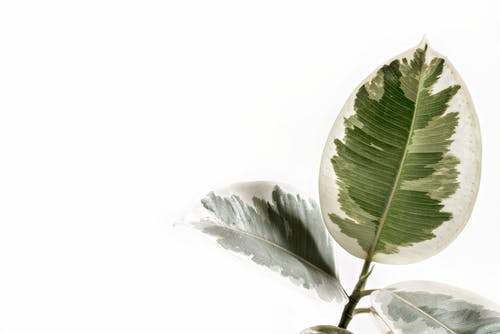 關(guān)于夢(mèng)想語(yǔ)錄