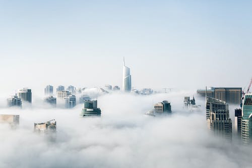 2020年暖心植樹(shù)節(jié)祝福語(yǔ)摘錄32句