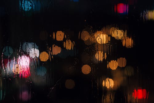 拂面春風(fēng)帶冬寒小說已完結(jié)蘇拂沈洵風(fēng)在線閱讀