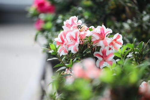 《小時(shí)代》顧源經(jīng)典臺(tái)詞