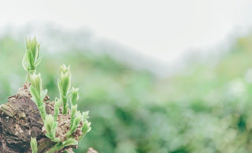 那些年我們一起追的女孩經(jīng)典臺詞