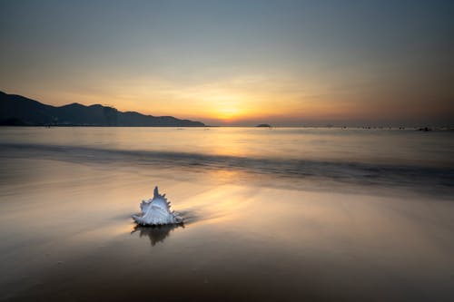 大學(xué)國家勵(lì)志獎(jiǎng)學(xué)金申請書集合四篇