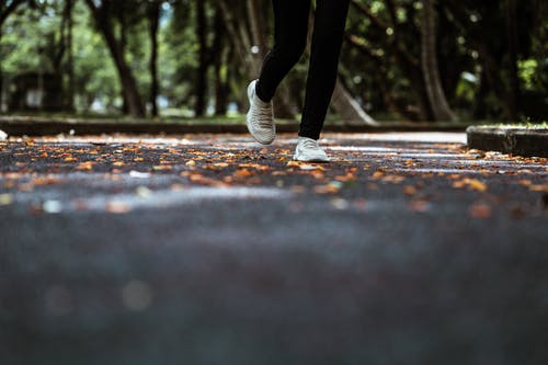 五年級期中考試作文我變成了一條蛇