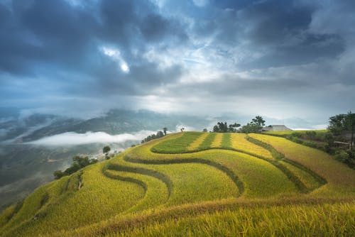 強(qiáng)推重生之仙帝狂婿小說(shuō)林風(fēng)葉雨煙無(wú)彈窗閱讀