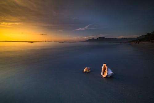 《錦繡緣華麗冒險(xiǎn)》經(jīng)典臺(tái)詞對(duì)白