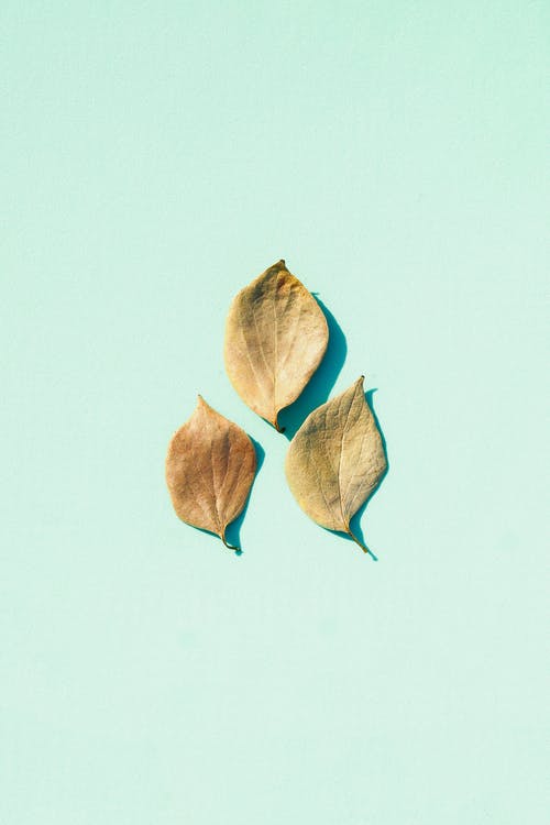 認(rèn)識實習(xí)日記范文集合6篇