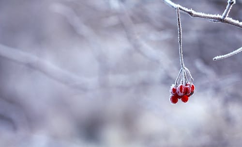 描寫友情的古詩(shī)詞