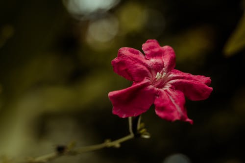 五年級讀后感讀《三體》有感