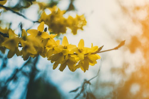 關(guān)于一直以為的傷感語(yǔ)錄