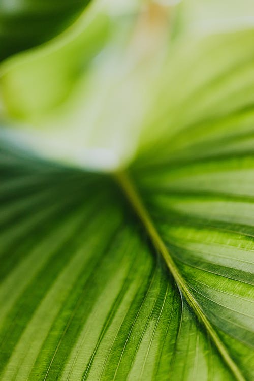 玄幻末世天師小說(shuō)主角閔池章節(jié)閱讀