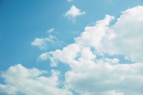 表示看淡愛(ài)情的句子2021