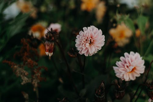 后會(huì )無(wú)期經(jīng)典語(yǔ)句