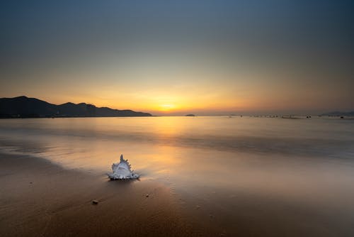 胖子勵(lì)志語(yǔ)錄大全