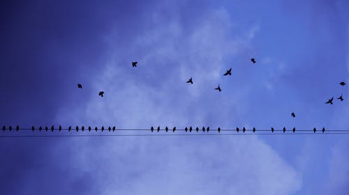 2020年父親節(jié)給爸爸的祝福語微信摘錄22條