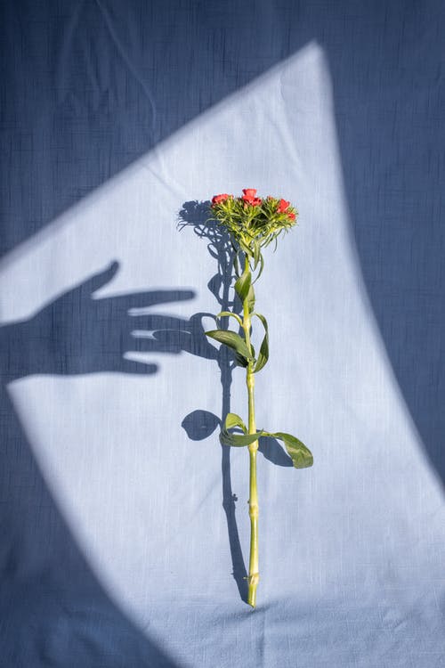 霜降快樂(lè)的祝福語(yǔ)大集合39條