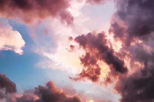 這個宗主不好當(dāng)小說連載中男主林青陽無刪減閱讀