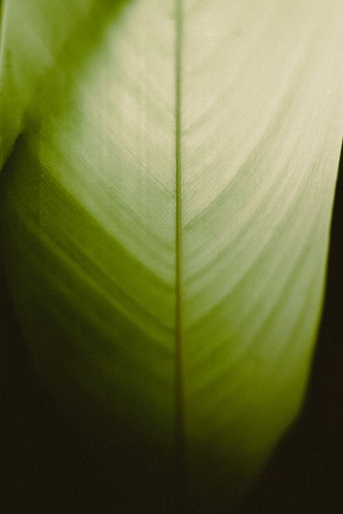 【實用】運(yùn)動會日記范文5篇