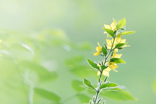 廢墟和荒原上的人們小說主角葉修章節(jié)閱讀