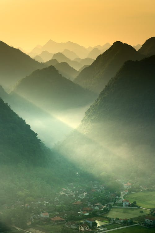 關(guān)于古詩(shī)伴我成長(cháng)作文匯總五篇