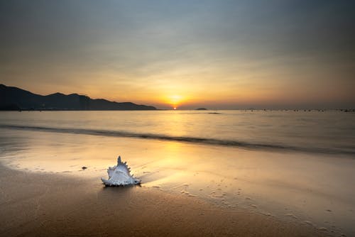 2020年祝小滿快樂(lè)的祝福語(yǔ)集合54條