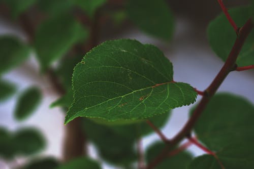中秋問候微信祝福語28條