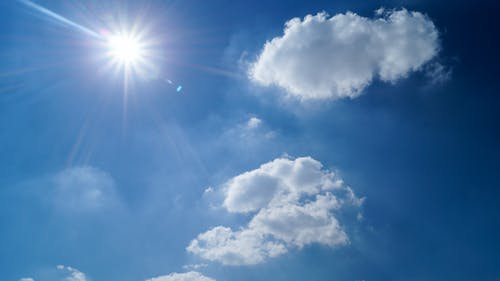 我的寵物太爭(zhēng)氣自己進(jìn)化成妖獸了小說(shuō)秦天明在線閱讀