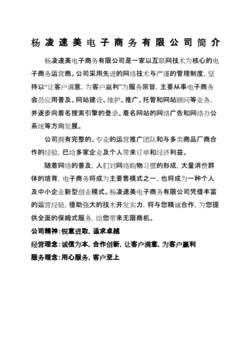 電子商務(wù)公司簡(jiǎn)介范本
