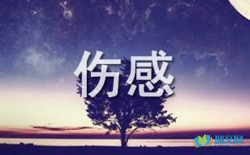 隨筆散文：傷感的心，憔悴一個人的冷