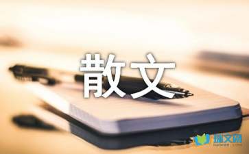 拾起-隨筆散文