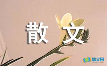 隨筆散文：上了名校又如何
