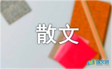 隨筆散文：透視燈箱
