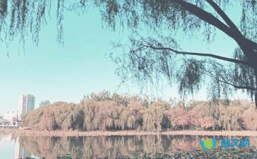 秋季的雨散文隨筆