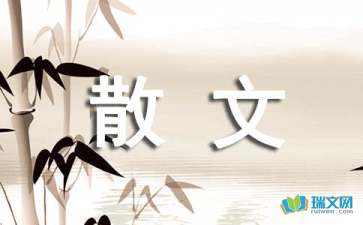 我的雨夜散文隨筆