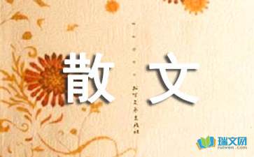 為了一份信任隨筆散文