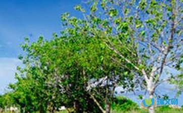遠(yuǎn)處是風(fēng)景，近處是人生