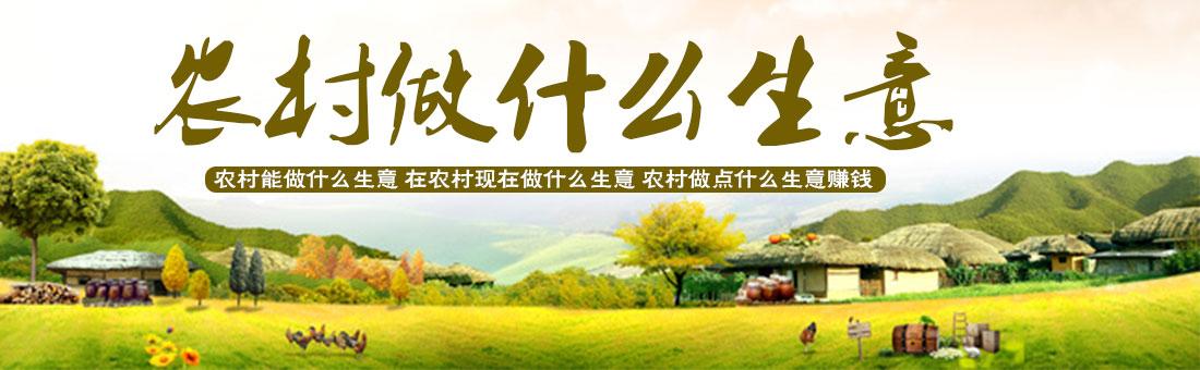 現(xiàn)在農(nóng)村自主創(chuàng)業(yè)做什么好？