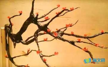 梅花隨筆作文500字