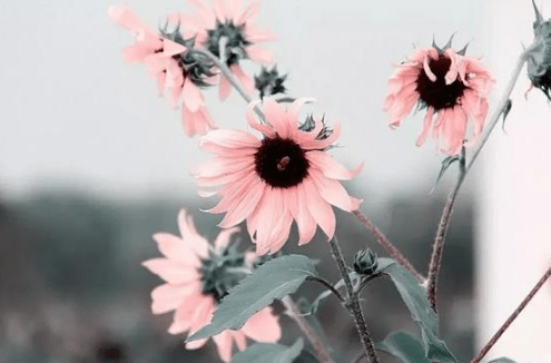 qq空間有內(nèi)涵的經(jīng)典說說(70條) qq空間有內(nèi)涵的經(jīng)典說說(70條)