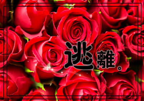 適合發(fā)朋友圈的經(jīng)典語(yǔ)錄大全傷感（55條）