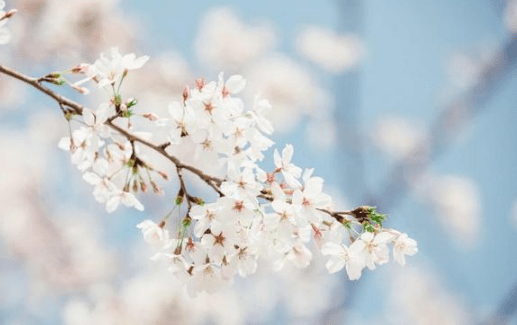 2019心靈雞湯的經(jīng)典說說（41條）