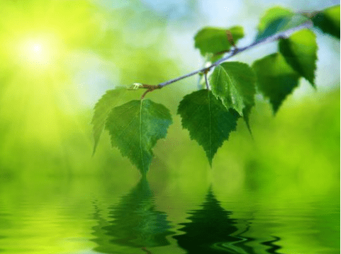 充滿詩意略帶傷感的經典說說（55條）